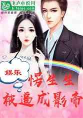 娱乐圈变成吃瓜圈的小说